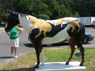 Horse and Pony Show