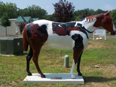 Horse and Pony Show