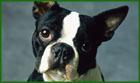 Purina Mills Feed