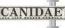 Canidae