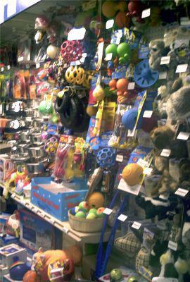Toys for Pets