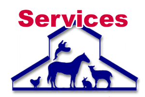 Services