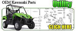 kawasaki_utilityoem250.jpg
