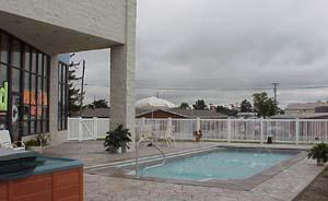 Backyard Dream