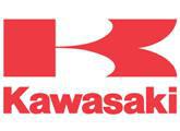 kawasaki_RED.jpg