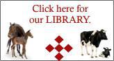 Click here for our library.