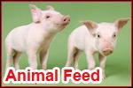 Animal Feed