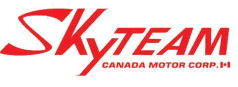 Skyteam-1.jpg