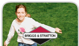 Briggs & Stratton