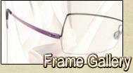 Frame Gallery