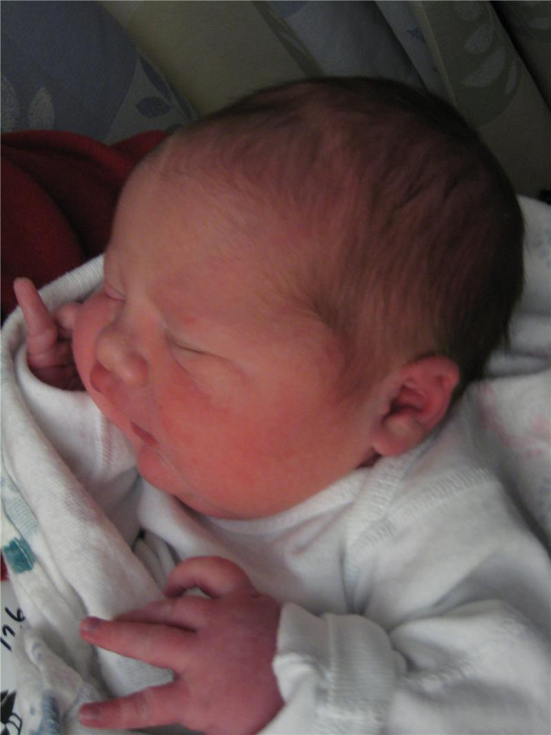 20090226 022.jpg