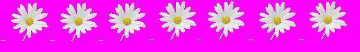 Abigail Rose Salado