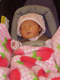 Abigail Rose Salado