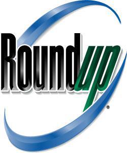 RoundupLogoColor.jpg