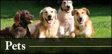 Pets