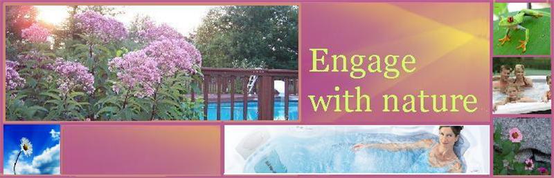 Nature banner 2010.jpg