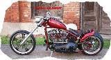 Seven Custom Cycles