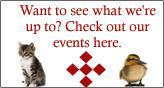Want to see what we're up to? Check out our events here.