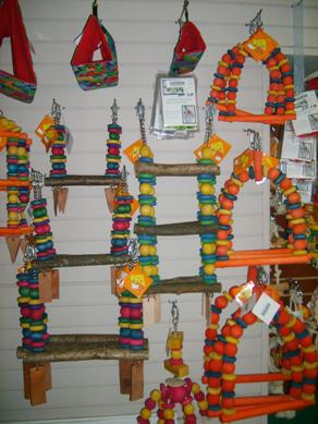 General Pics 004.jpg
