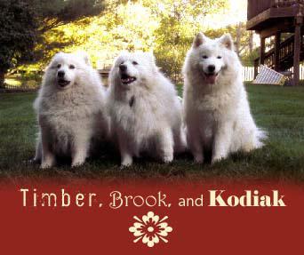 Timber, Brook, and Kodiak
