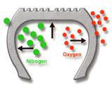 Nitrogen