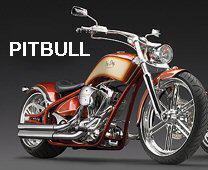 Pitbull