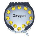 Oxygen reacts and damages inner tire liners and belt packages; nitrogen does not.