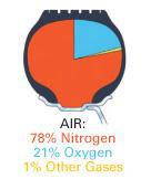 The air we breathe, the air that's in your tires.