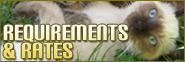 Requirements & Rates