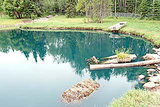 Pond