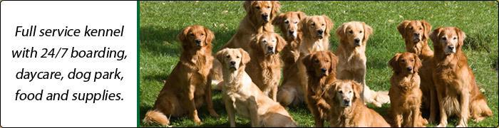 Full service kennel with 24/7 boarding, daycare, dog park, food and supplies.