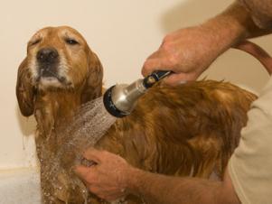 Bath time!