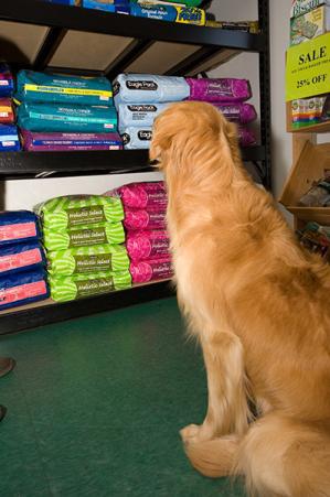 Check out the dog food isle!