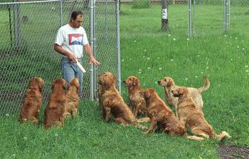 Retriever class