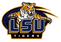 We support LSU!