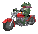 motorcycle_frog.lg_clr.gif