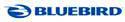 bluebird1.jpg