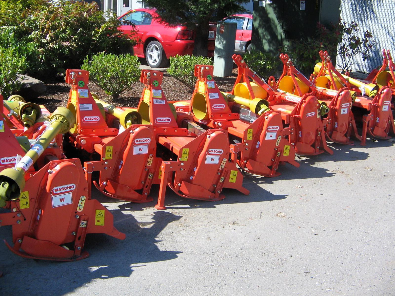 maschio1.jpg