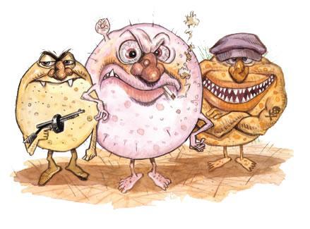 Let us help you! bacteria.jpg