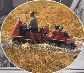 EARLY_ATV_OVAL.jpg