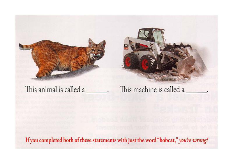 bobcat test.jpg