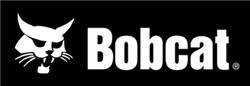 Bobcat