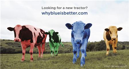 WhyBlue_cows1.jpg