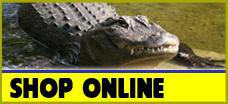 Shop Online