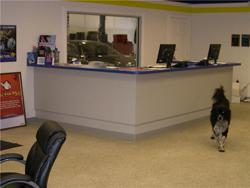 Front Counter