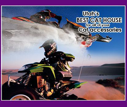 Utah's Best Cat House for all of your Cat accessories
