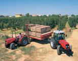Massey Products