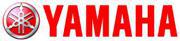 We carry Polaris and Yamaha products.