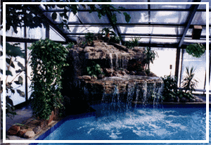 Custom Pool