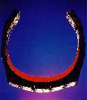 Tire Liner